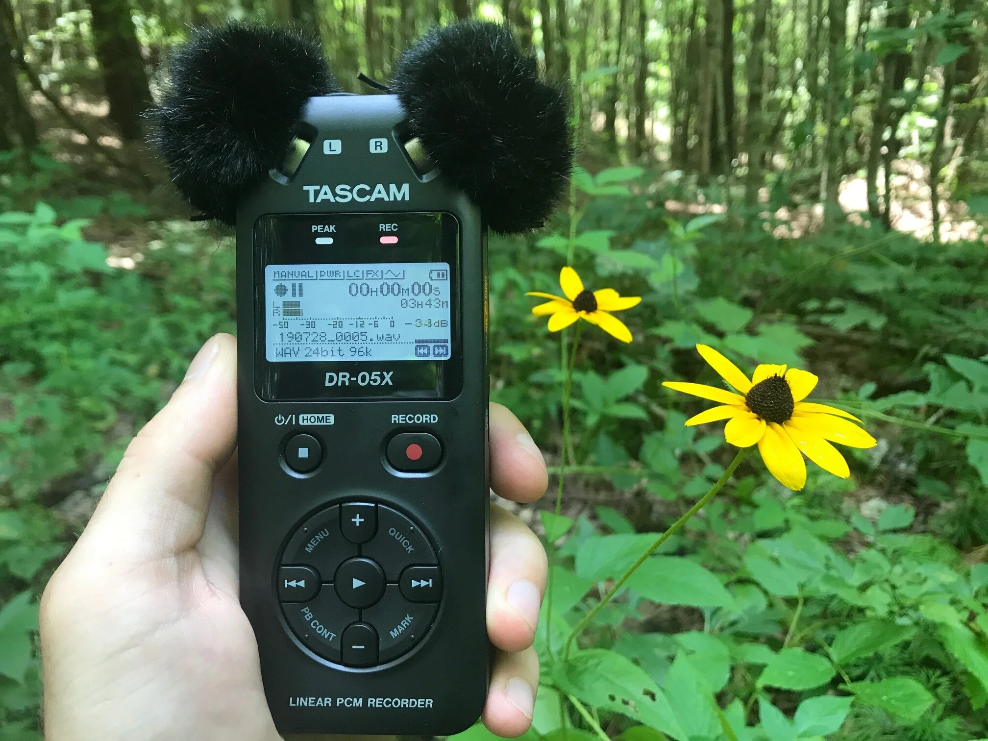 Tascam DR-05X Review: Quiet Enough for Nature? — Acoustic Nature